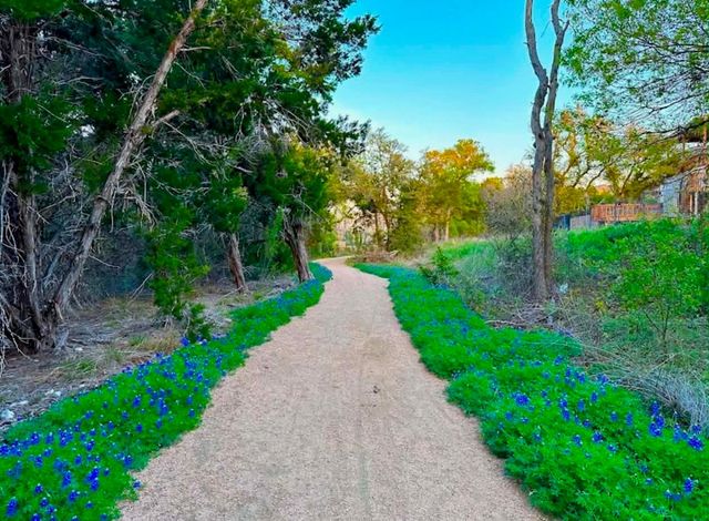 2916 Youngwood ST, Leander, TX 78641