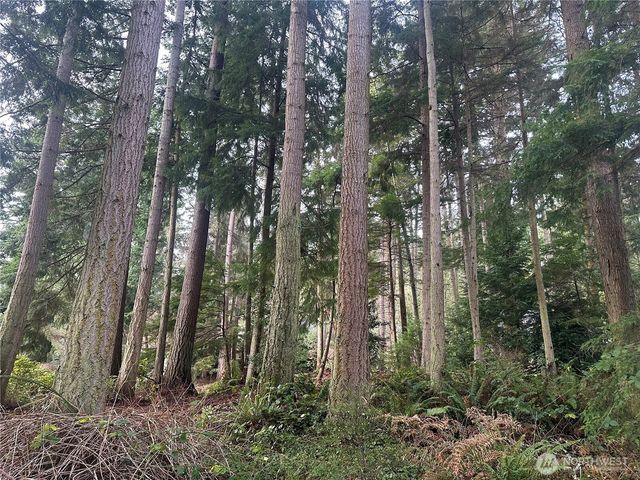 0 XXX Worthy Place, Greenbank, WA 98253