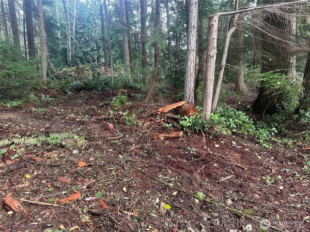 0 XXX Worthy Place, Greenbank, WA 98253