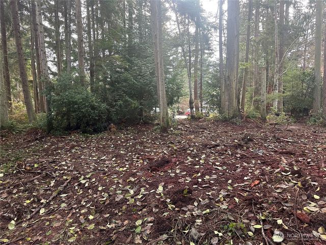 0 XXX Worthy Place, Greenbank, WA 98253