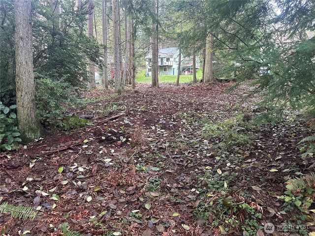 0 XXX Worthy Place, Greenbank, WA 98253