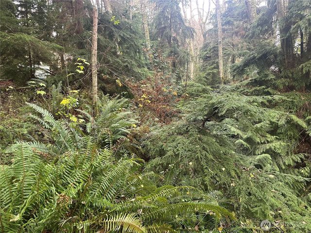 0 XXX Worthy Place, Greenbank, WA 98253