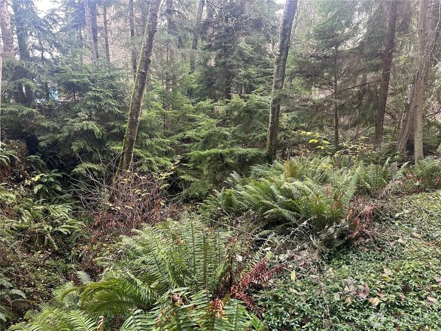 0 XXX Worthy Place, Greenbank, WA 98253