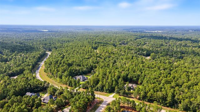 Lot 245 Lonestar Road, Huntsville, TX 77340