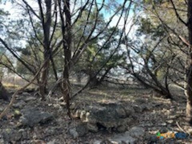 1218 E Creekview Drive, Salado, TX 76571