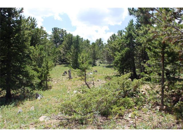 0 FS 411.1, Black Hawk, CO 80422