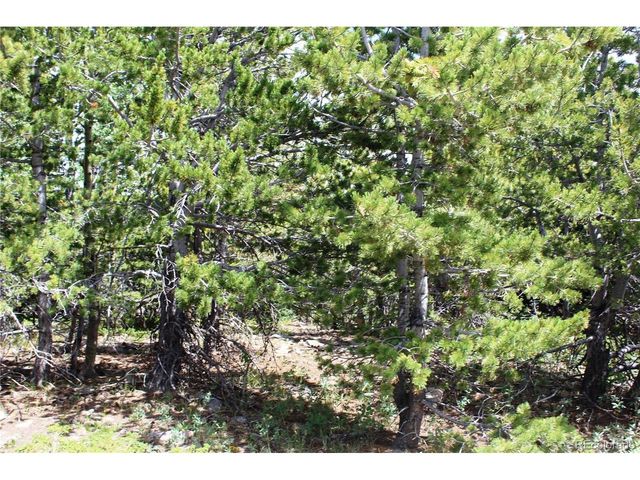 0 FS 411.1, Black Hawk, CO 80422