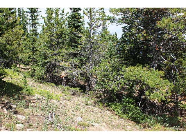 0 FS 411.1, Black Hawk, CO 80422