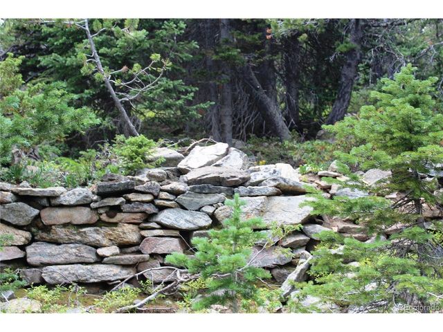 0 FS 411.1, Black Hawk, CO 80422