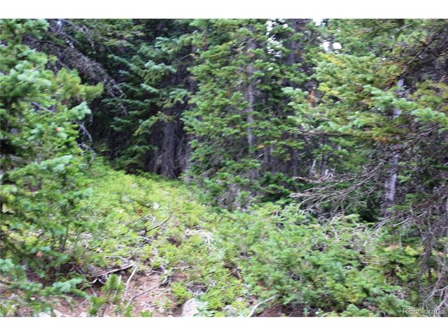 0 FS 411.1, Black Hawk, CO 80422