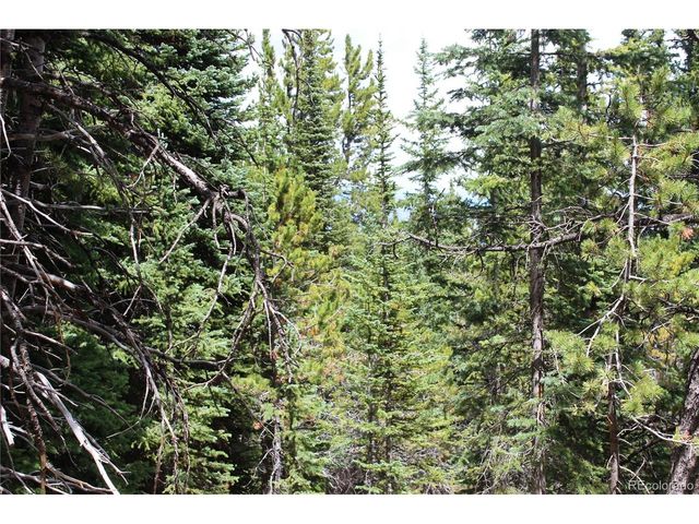 0 FS 411.1, Black Hawk, CO 80422