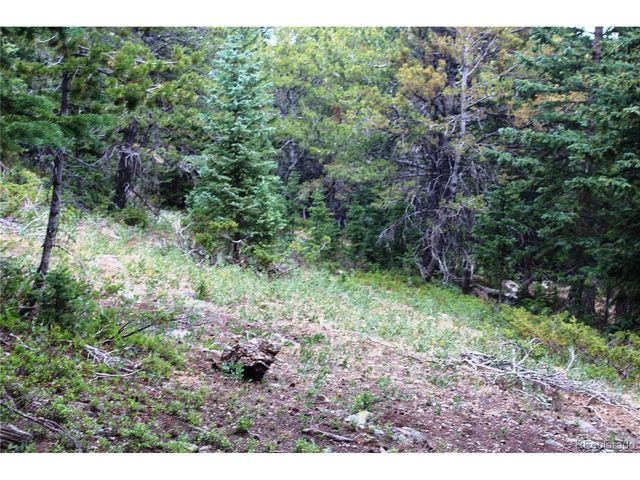 0 FS 411.1, Black Hawk, CO 80422