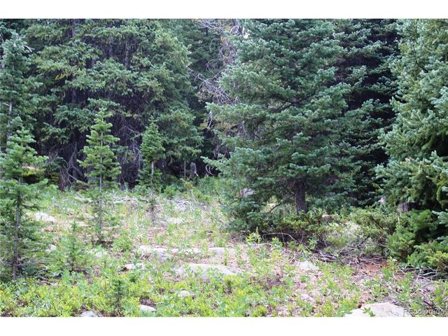 0 FS 411.1, Black Hawk, CO 80422