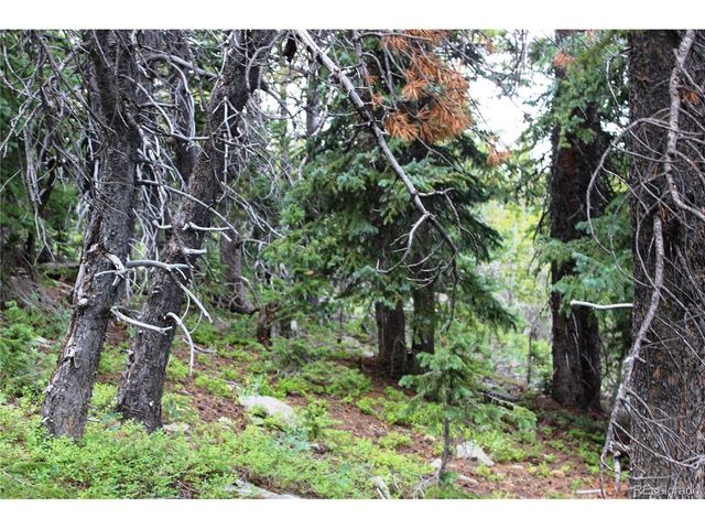 0 FS 411.1, Black Hawk, CO 80422