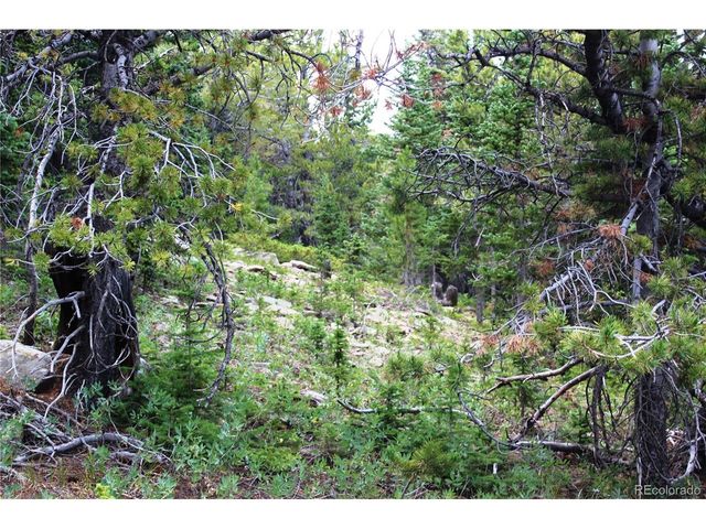 0 FS 411.1, Black Hawk, CO 80422