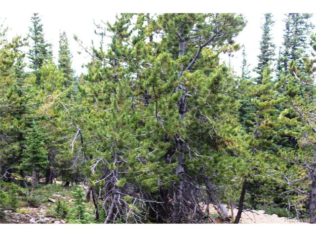 0 FS 411.1, Black Hawk, CO 80422