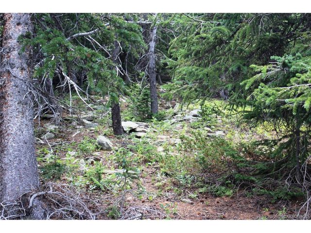 0 FS 411.1, Black Hawk, CO 80422