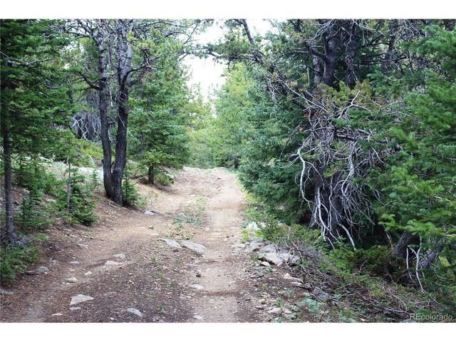 0 FS 411.1, Black Hawk, CO 80422