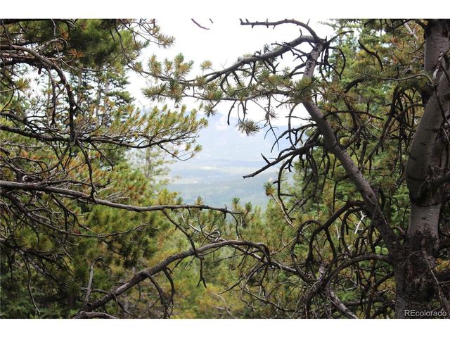 0 FS 411.1, Black Hawk, CO 80422