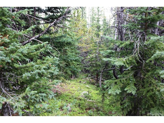 0 FS 411.1, Black Hawk, CO 80422
