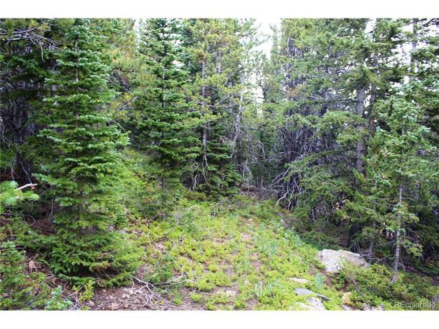 0 FS 411.1, Black Hawk, CO 80422
