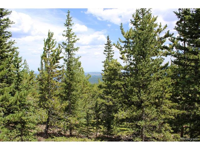 0 FS 411.1, Black Hawk, CO 80422