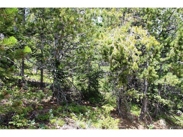 0 FS 411.1, Black Hawk, CO 80422
