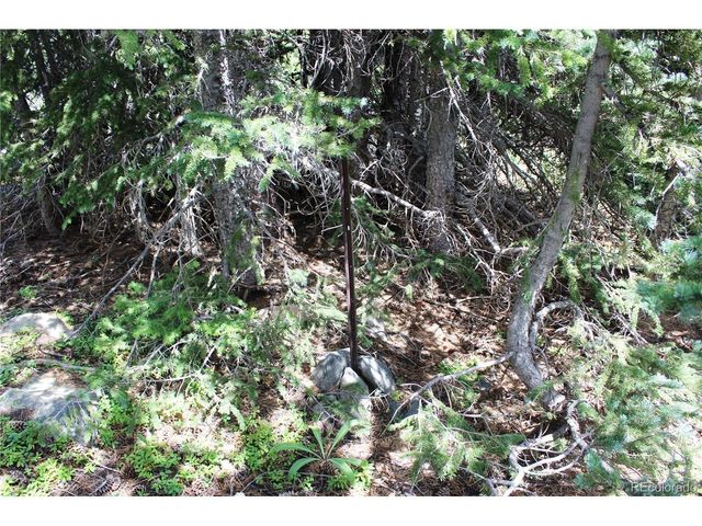 0 FS 411.1, Black Hawk, CO 80422