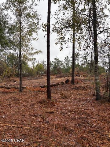 4593 Meadowview Road, Marianna, FL 32446