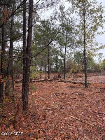 4593 Meadowview Road, Marianna, FL 32446