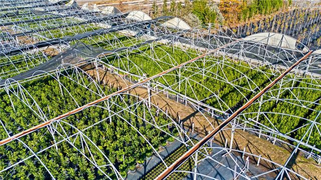 4004 REX DRIVE, Winter Garden, FL 34787