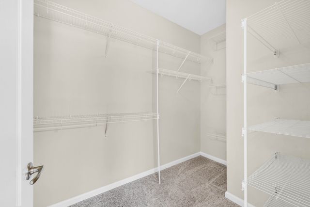 184 Whitman Aly, Clarksville, TN 37043