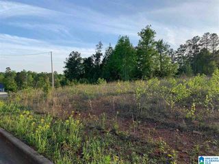0 BAILEY ROAD, Weaver, AL 36277