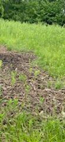 3735 Wyoming Road, Owingsville, KY 40360