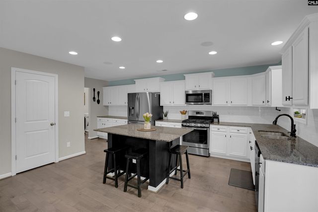 109 SUNSATION Drive, Chapin, SC 29036