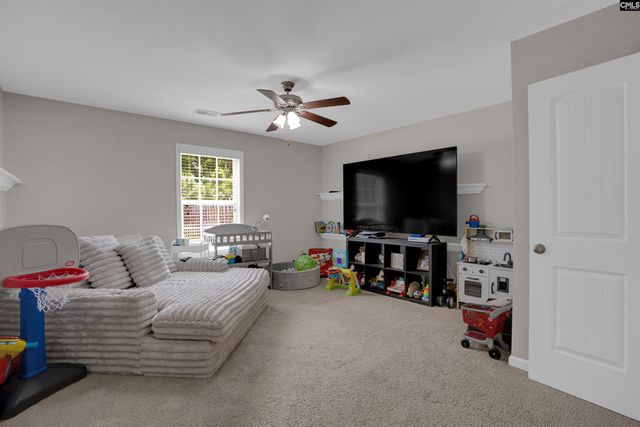 109 SUNSATION Drive, Chapin, SC 29036