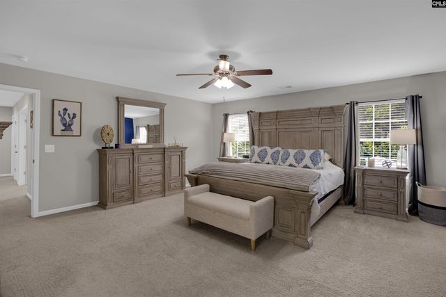 109 SUNSATION Drive, Chapin, SC 29036