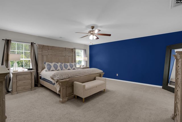 109 SUNSATION Drive, Chapin, SC 29036