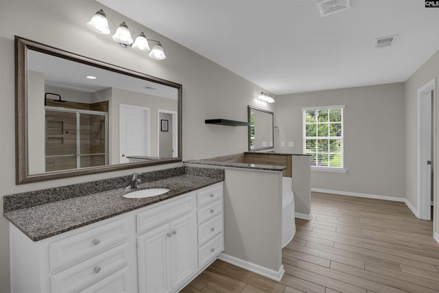 109 SUNSATION Drive, Chapin, SC 29036