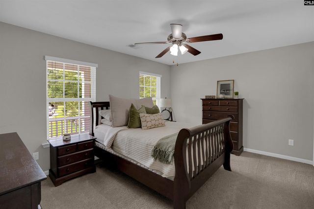 109 SUNSATION Drive, Chapin, SC 29036