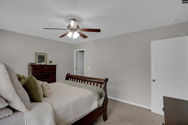 109 SUNSATION Drive, Chapin, SC 29036