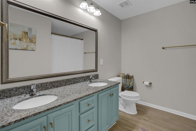109 SUNSATION Drive, Chapin, SC 29036