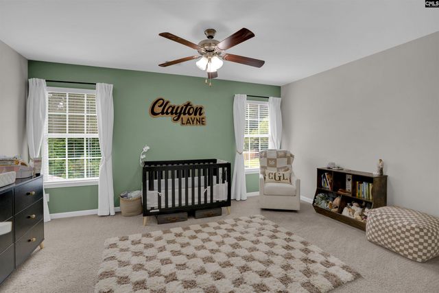 109 SUNSATION Drive, Chapin, SC 29036