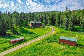 25524 N Turkey Creek Road, Evergreen, CO 80439