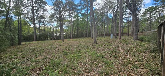 16020 N Loop Drive, Plantersville, TX 77363