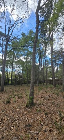 16020 N Loop Drive, Plantersville, TX 77363