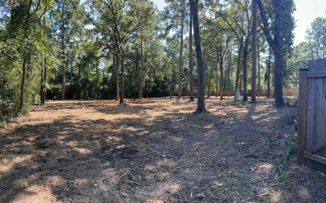 16020 N Loop Drive, Plantersville, TX 77363