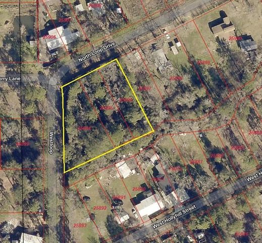 16020 N Loop Drive, Plantersville, TX 77363