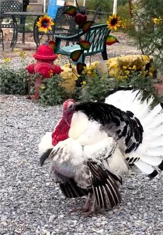 351 Bunarch Road, Pahrump, NV 89060