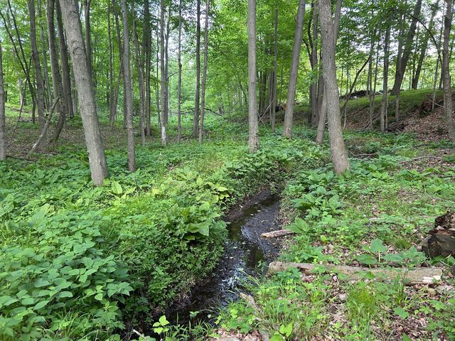 15300 Rome Road, Rollin Twp, MI 49253